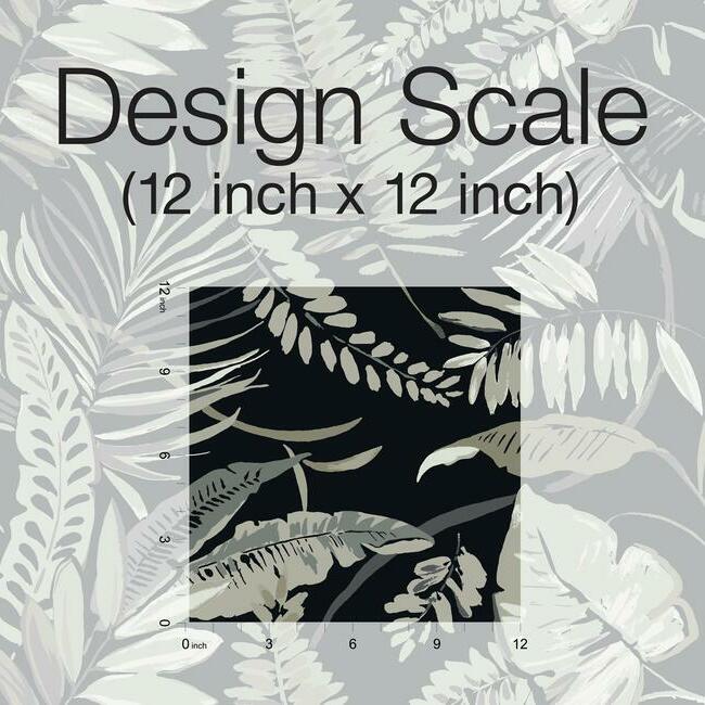 tropical-toss-wallpaper-black-york-wallcoverings-tc2625 - York Wallcoverings Wallpaper