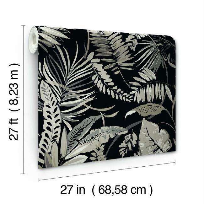 tropical-toss-wallpaper-black-york-wallcoverings-tc2625 - York Wallcoverings Wallpaper
