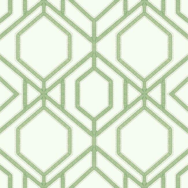 sawgrass-trellis-wallpaper-green-york-wallcoverings-tc2631
