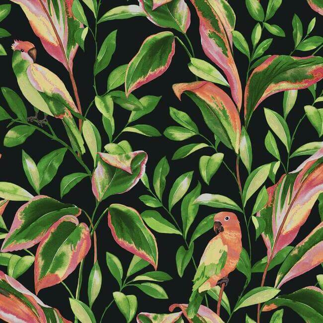 tropical-love-birds-wallpaper-black-york-wallcoverings-tc2651 - York Wallcoverings Wallpaper