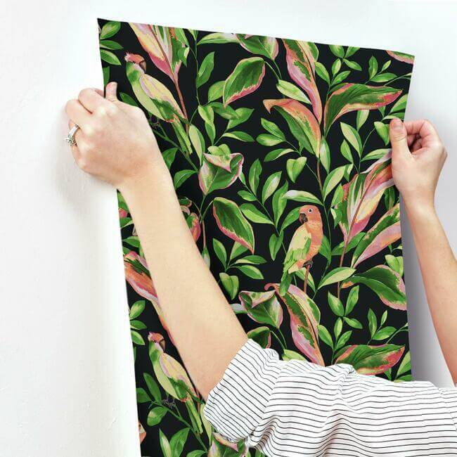 tropical-love-birds-wallpaper-black-york-wallcoverings-tc2651 - York Wallcoverings Wallpaper