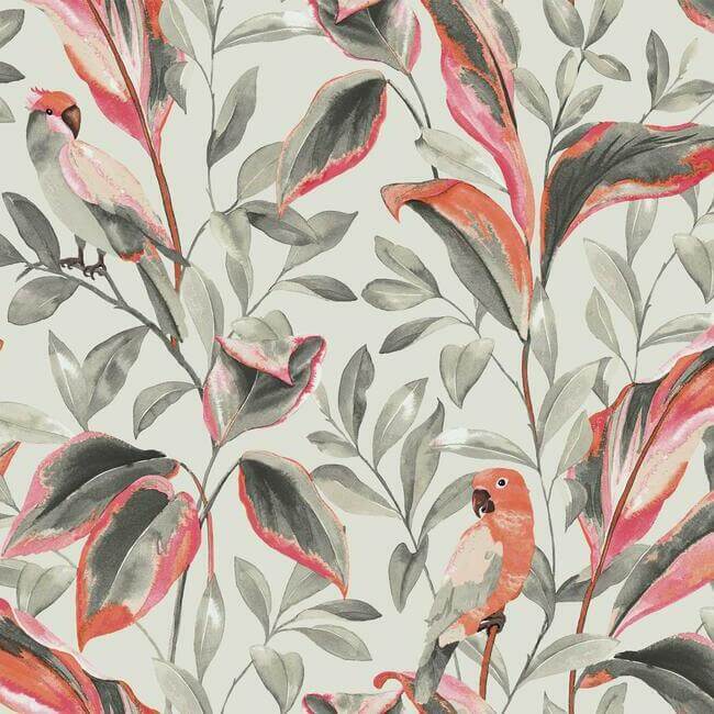 tropical-love-birds-wallpaper-grey-york-wallcoverings-tc2652 - York Wallcoverings Wallpaper