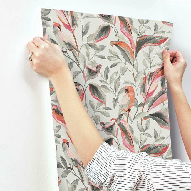 tropical-love-birds-wallpaper-grey-york-wallcoverings-tc2652 - York Wallcoverings Wallpaper