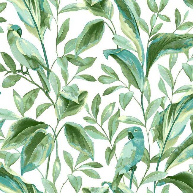 tropical-love-birds-white-aqua-wallpaper-york-wallcoverings-tc2654 - York Wallcoverings Wallpaper