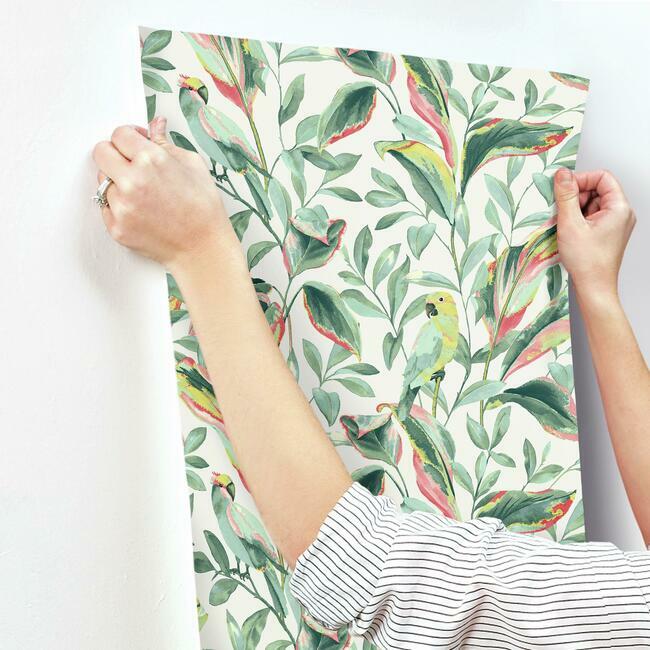 tropical-love-birds-wallpaper-whitecoral-york-wallcoverings-tc2653 - York Wallcoverings Wallpaper