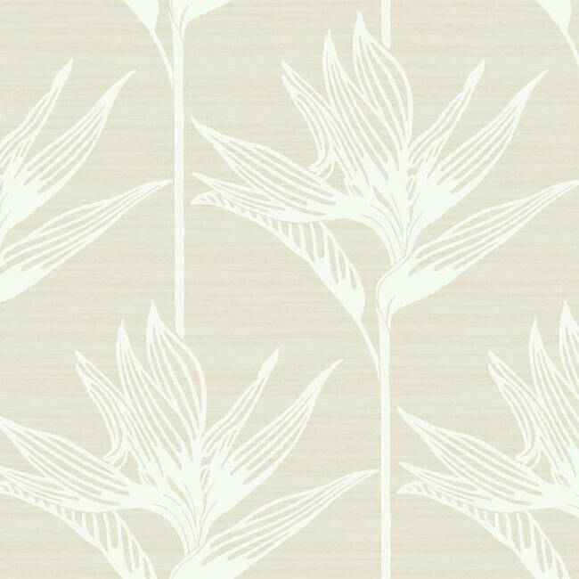 Bird of Paradise Wallpaper White - York Wallcoverings - TC2672 - York Wallcoverings Wallpaper
