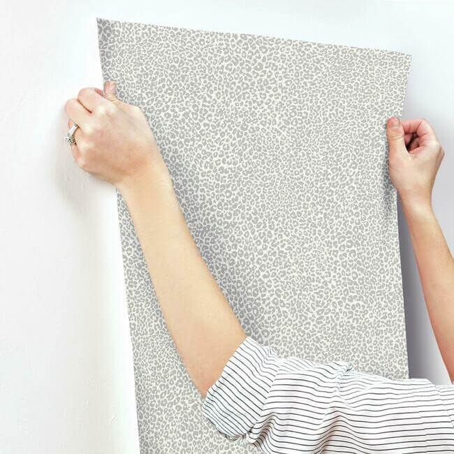 leopard-king-wallpaper-grey-york-wallcoverings-tc2683 - York Wallcoverings Wallpaper