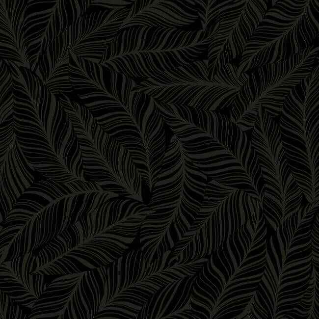 Rainforest Canopy Black Wallpaper - York Wallcoverings - TC2712 - York Wallcoverings Wallpaper