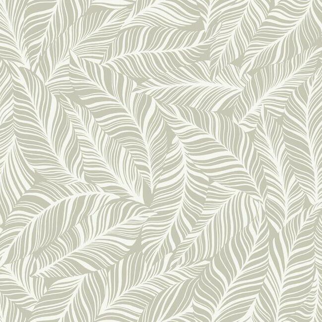 rainforest-canopy-wallpaper-glint-york-wallcoverings-tc2711