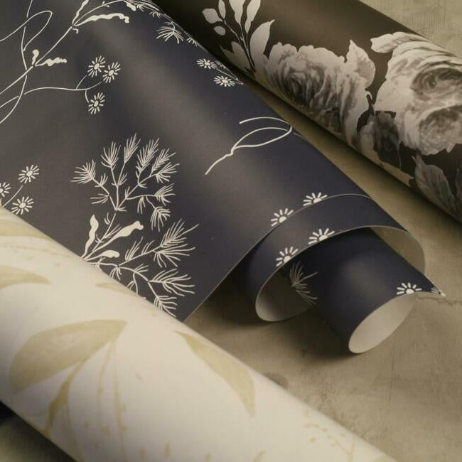 tea-rose-premium-peel-stick-wallpaper-blackwhite-on-black-york-wallcoverings-psw1156rl - York Wallcoverings Wallpaper