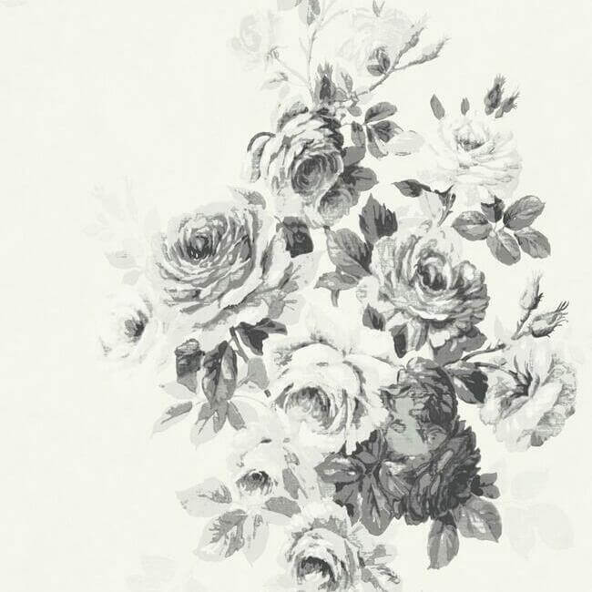 magnolia-home-tea-rose-white-black-peel-stick-wallpaper-york-wallcoverings-psw1157rl - York Wallcoverings Wallpaper