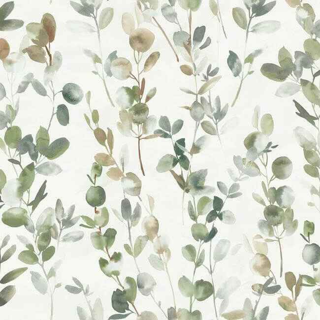 Joyful Eucalpytus Green Wallpaper - York Wallcoverings - OS4311