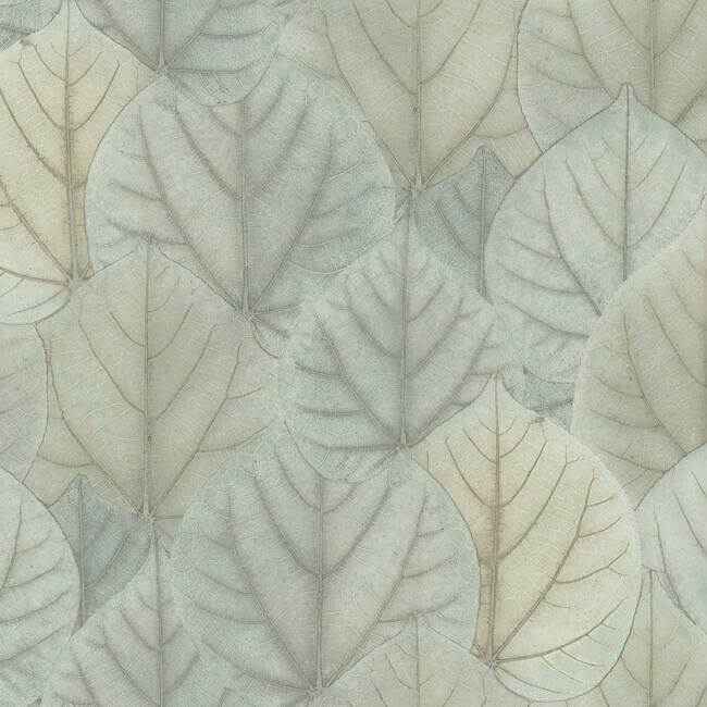 Leaf Concerto Blue & Taupe Wallpaper - York Wallcoverings - OS4244 - York Wallcoverings Wallpaper
