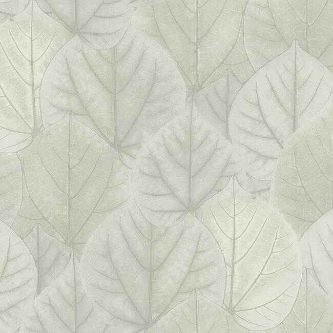 Leaf Concerto Grey Wallpaper - York Wallcoverings - OS4246 - York Wallcoverings Wallpaper