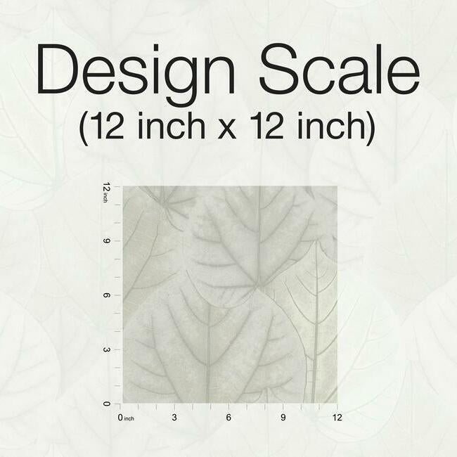 leaf-concerto-wallpaper-pale-grey-york-wallcoverings-os4246