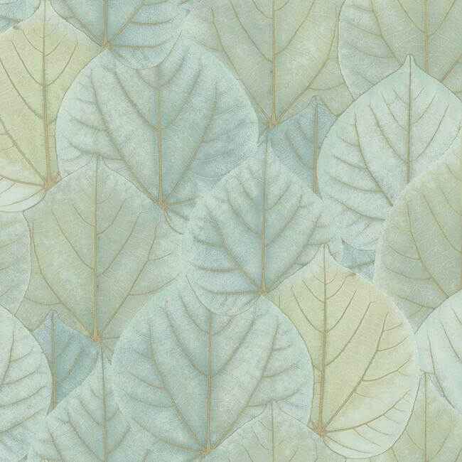Leaf Concerto Turquoise Wallpaper - York Wallcoverings - OS4241