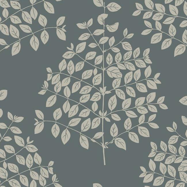 tender-wallpaper-charcoal-york-wallcoverings-os4255 - York Wallcoverings Wallpaper