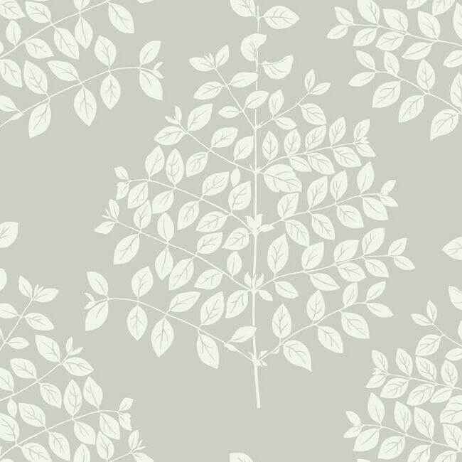 Tender Pearl Grey Wallpaper - York Wallcoverings - OS4252 - York Wallcoverings Wallpaper