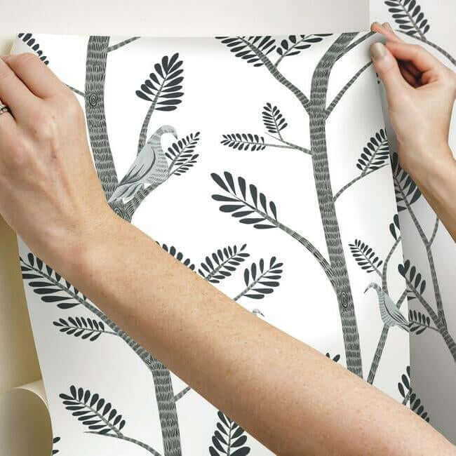 aviary-branch-premium-peel-stick-wallpaper-dove-grey-york-wallcoverings-psw1238rl - York Wallcoverings Wallpaper