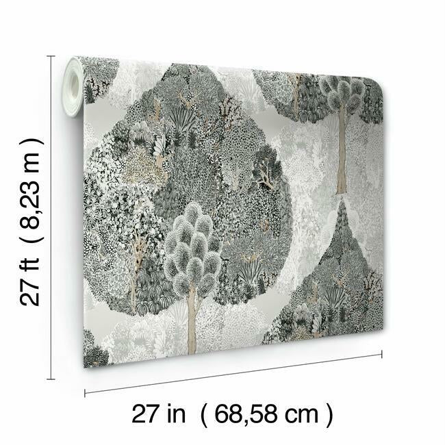 mystic-forest-wallpaper-black-york-wallcoverings-bo6703 - York Wallcoverings Wallpaper