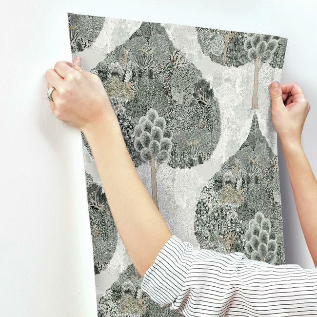 mystic-forest-wallpaper-black-york-wallcoverings-bo6703 - York Wallcoverings Wallpaper