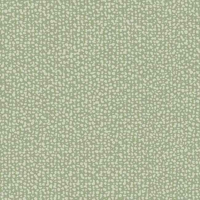 Galaxies Green Wallpaper - York Wallcoverings - DD3801 - York Wallcoverings Wallpaper