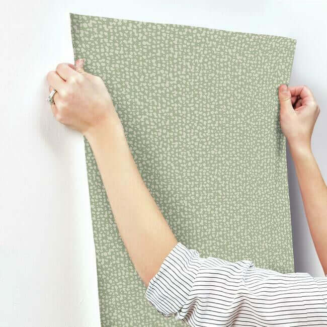 galaxies-wallpaper-green-york-wallcoverings-dd3801 - York Wallcoverings Wallpaper