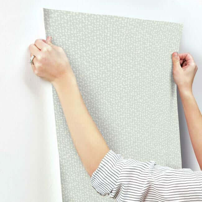 galaxies-grey-wallpaper-york-wallcoverings-dd3804 - York Wallcoverings Wallpaper