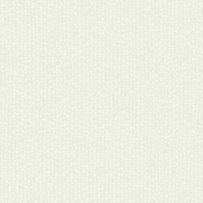 Galaxies White Wallpaper - York Wallcoverings - DD3803 - York Wallcoverings Wallpaper