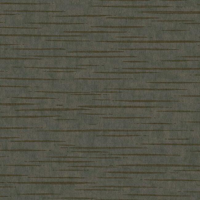 tigers-eye-wallpaper-charcoal-york-wallcoverings-dd3765 - York Wallcoverings Wallpaper