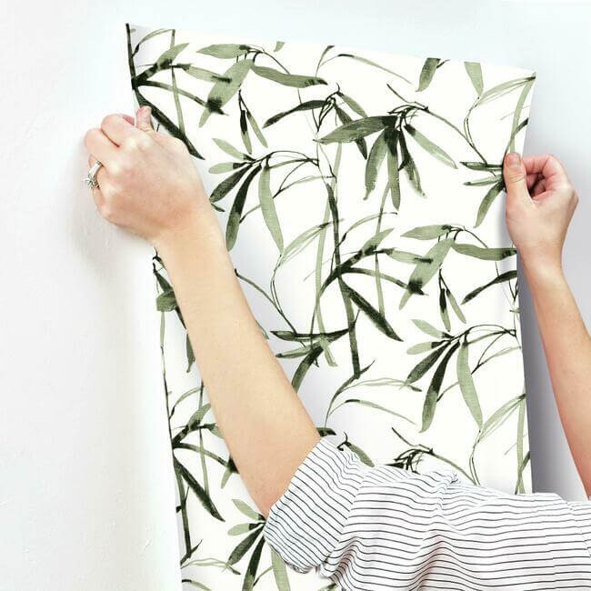 bamboo-ink-green-black-wallpaper-york-wallcoverings-bw3842 - York Wallcoverings Wallpaper