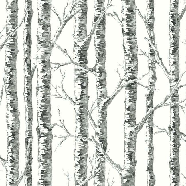 paper-birch-wallpaper-black-white-york-wallcoverings-bw3902