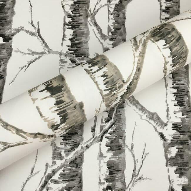 paper-birch-wallpaper-black-white-york-wallcoverings-bw3902