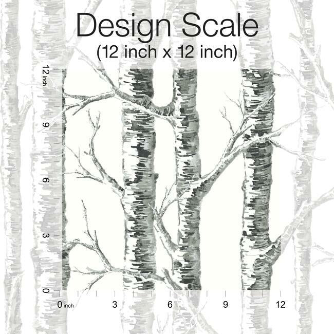 paper-birch-wallpaper-black-white-york-wallcoverings-bw3902