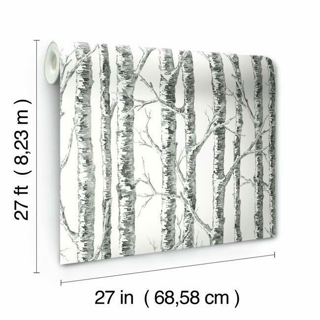 paper-birch-wallpaper-black-white-york-wallcoverings-bw3902