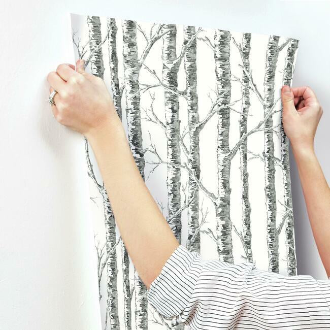 paper-birch-wallpaper-black-white-york-wallcoverings-bw3902