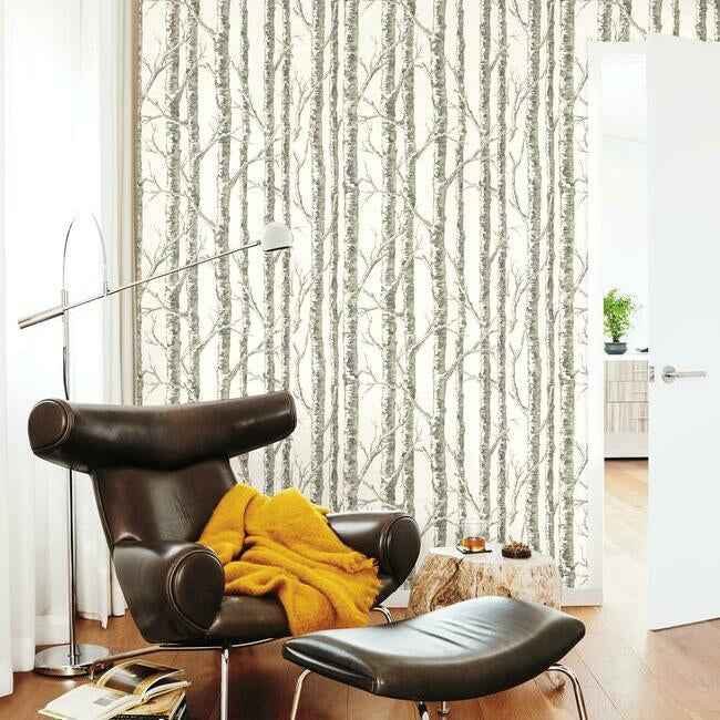 Paper Birch White & Grey Wallpaper - York Wallcoverings - BW3901 - York Wallcoverings Wallpaper