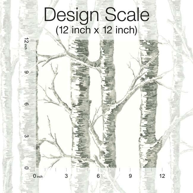 paper-birch-wallpaper-neutral-york-wallcoverings-bw3901