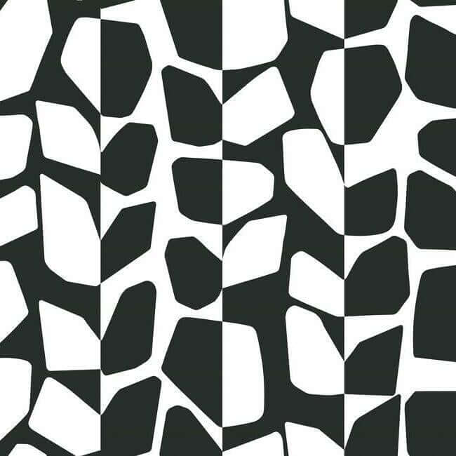 primitive-vines-black-white-wallpaper-york-wallcoverings-bw3893 - York Wallcoverings Wallpaper