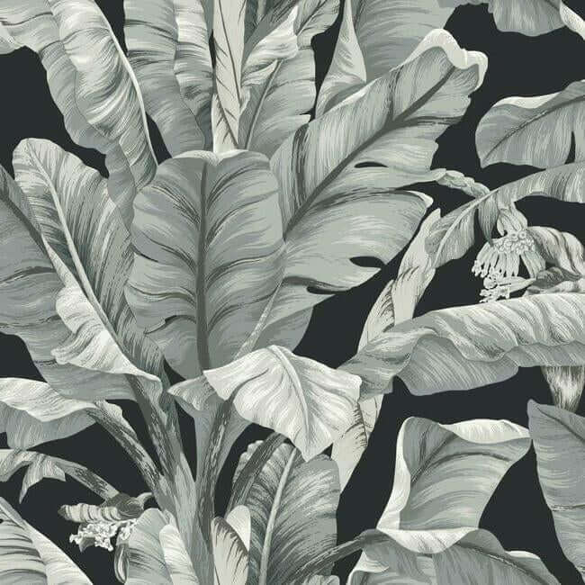 banana-leaf-black-white-wallpaper-york-wallcoverings-bw3971 - York Wallcoverings Wallpaper