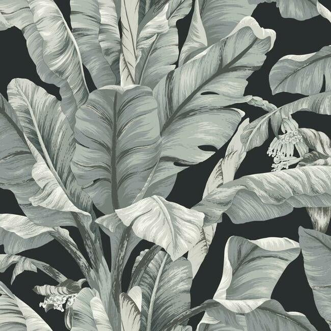 banana-leaf-wallpaper-black-neutral-york-wallcoverings-bw3971
