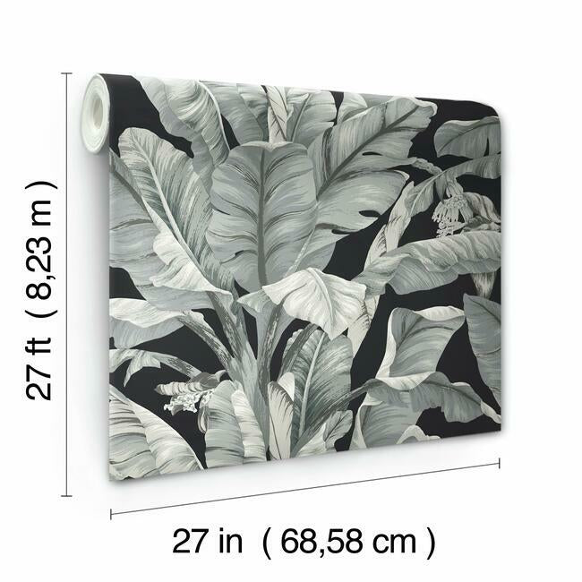 banana-leaf-wallpaper-black-neutral-york-wallcoverings-bw3971