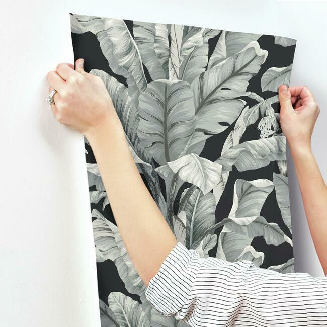 banana-leaf-wallpaper-black-neutral-york-wallcoverings-bw3971