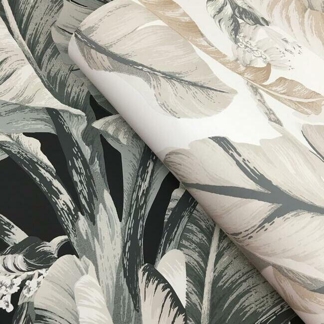 banana-leaf-wallpaper-light-neutral-york-wallcoverings-bw3972