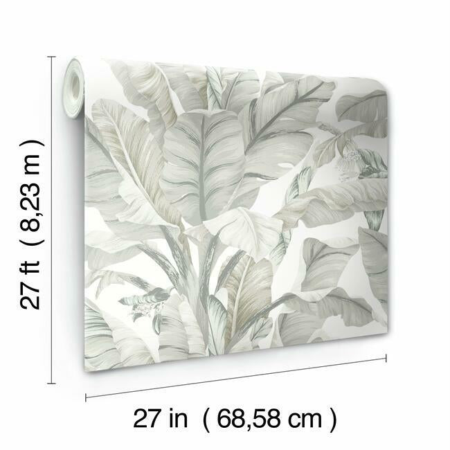 banana-leaf-wallpaper-light-neutral-york-wallcoverings-bw3972