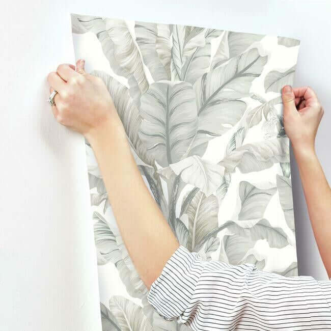 banana-leaf-white-cream-wallpaper-york-wallcoverings-bw3972 - York Wallcoverings Wallpaper