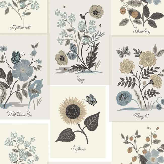 Botanical Prints Beige & Black Wallpaper - York Wallcoverings - RP7336 - York Wallcoverings Wallpaper