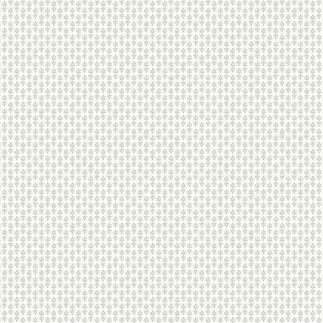 Petal White Wallpaper - York Wallcoverings - RP7361 - York Wallcoverings Wallpaper