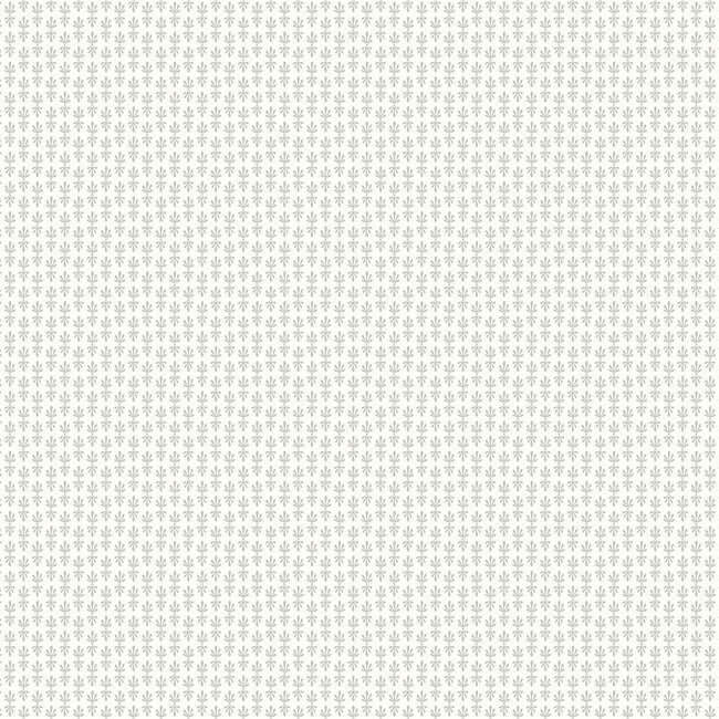 petal-white-wallpaper-york-wallcoverings-rp7361 - York Wallpaper Wallpaper