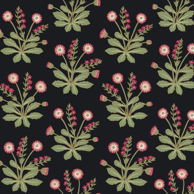 meadow-flowers-wallpaper-blackrose-york-wallcoverings-ac9152 - York Wallcoverings Wallpaper
